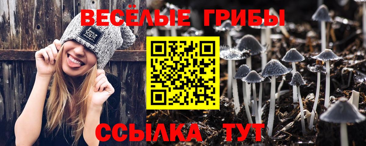 Кетамин Губкин