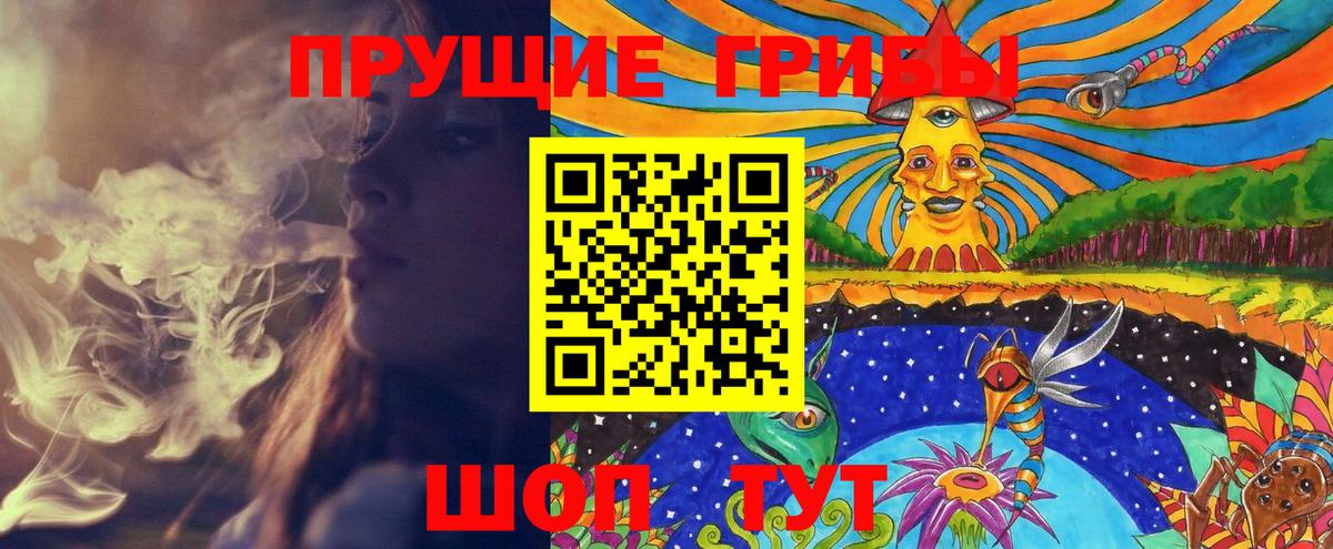 Псилоцибиновые грибы Psilocybe Губкин